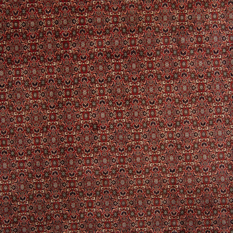 Alfombra persa - Bidjar - 342 x 244 cm - marrón