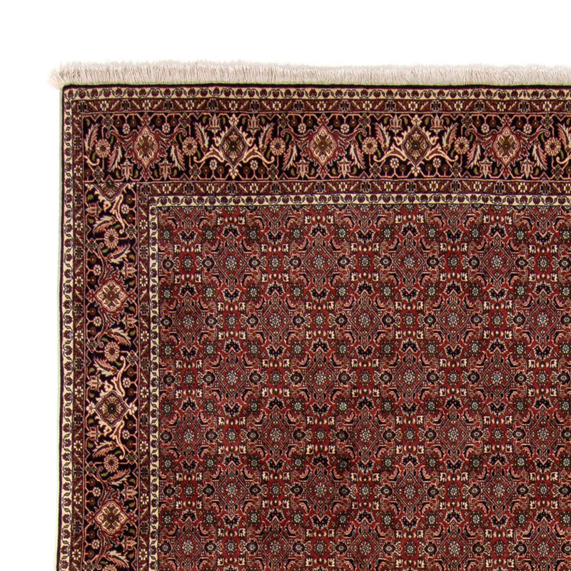 Alfombra persa - Bidjar - 342 x 244 cm - marrón