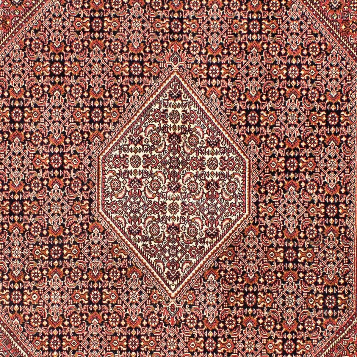 Alfombra persa - Bidjar - 246 x 171 cm - rojo claro