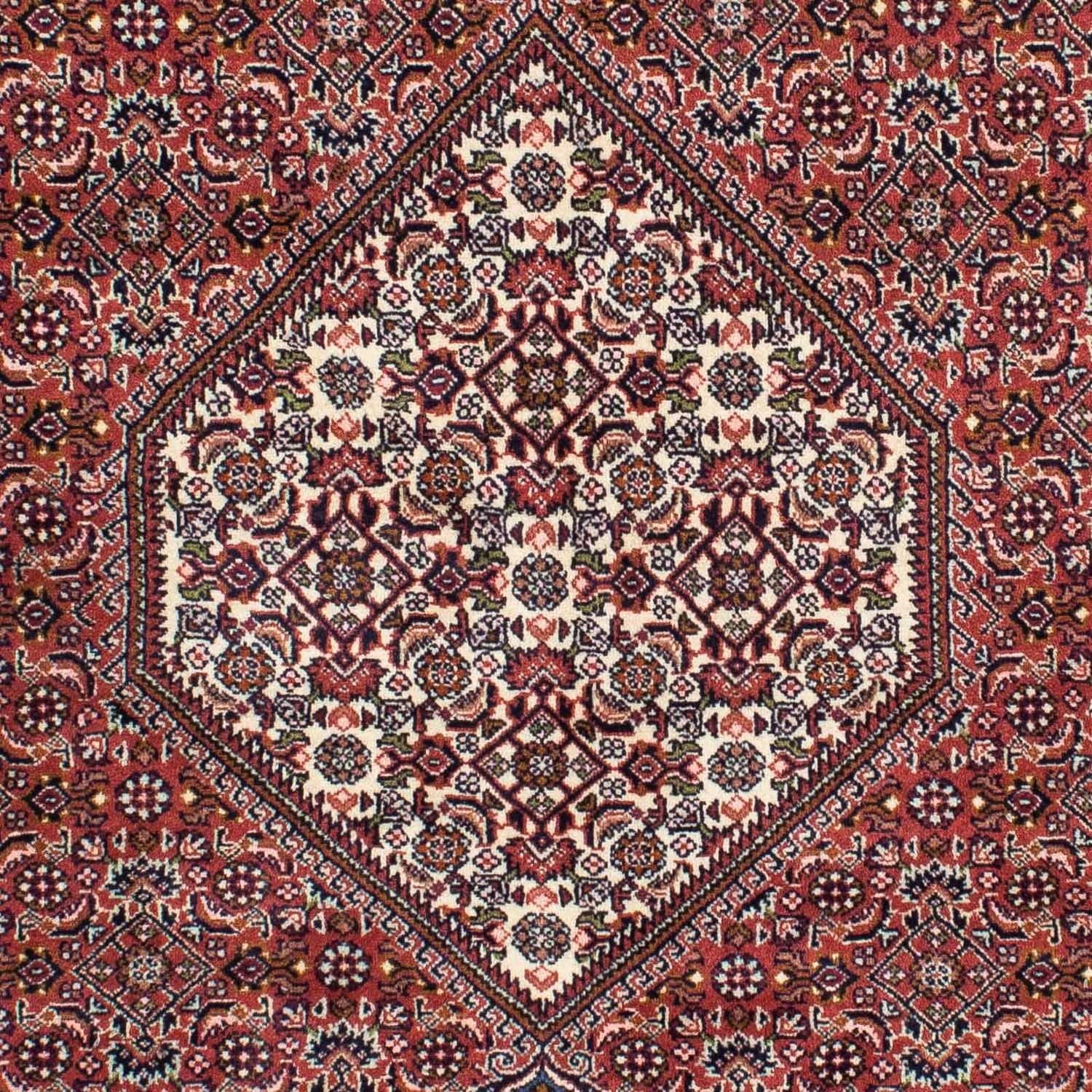 Alfombra persa - Bidjar - 228 x 138 cm - rojo