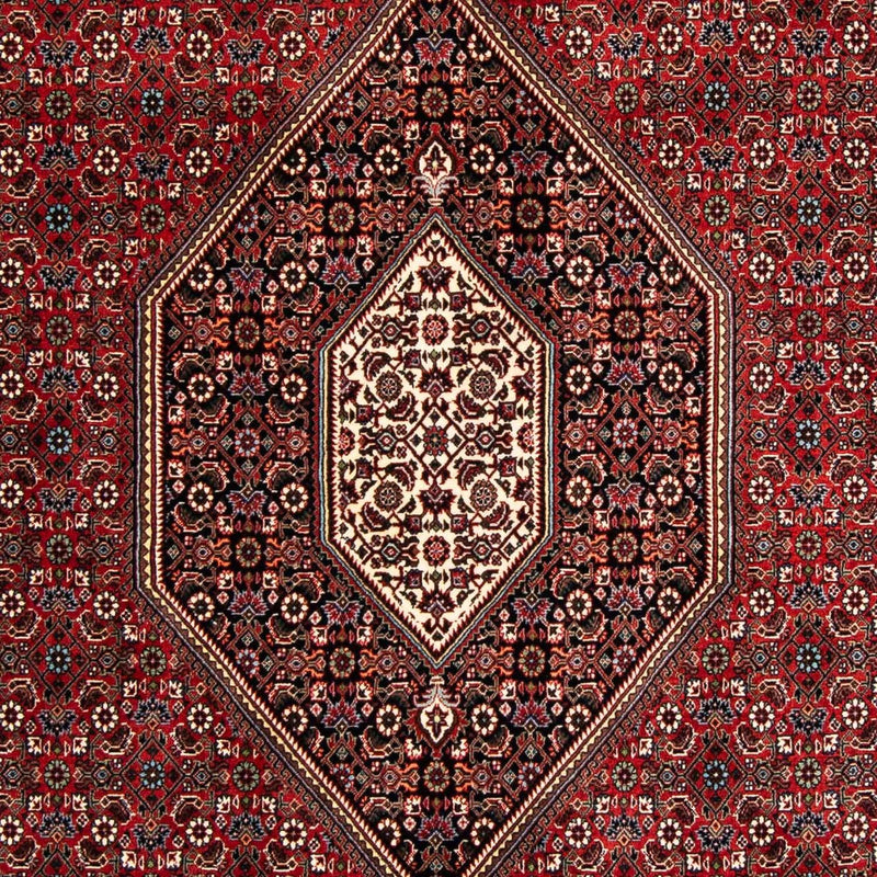 Alfombra persa - Bidjar - 258 x 169 cm - rojo oscuro