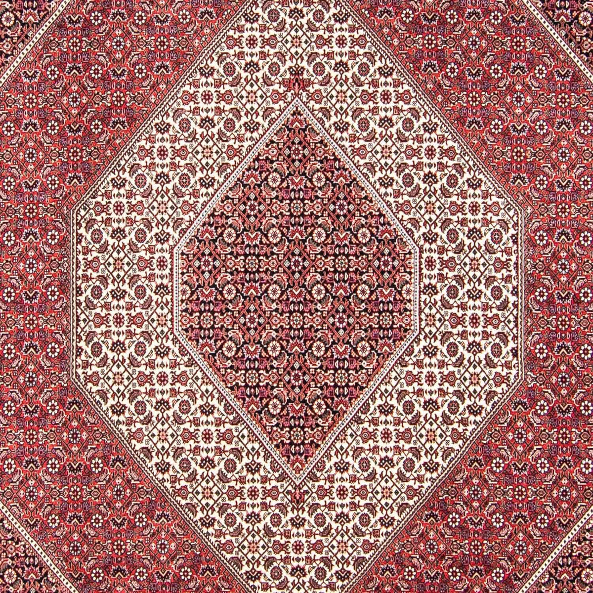 Alfombra persa - Bidjar - 312 x 248 cm - rojo claro