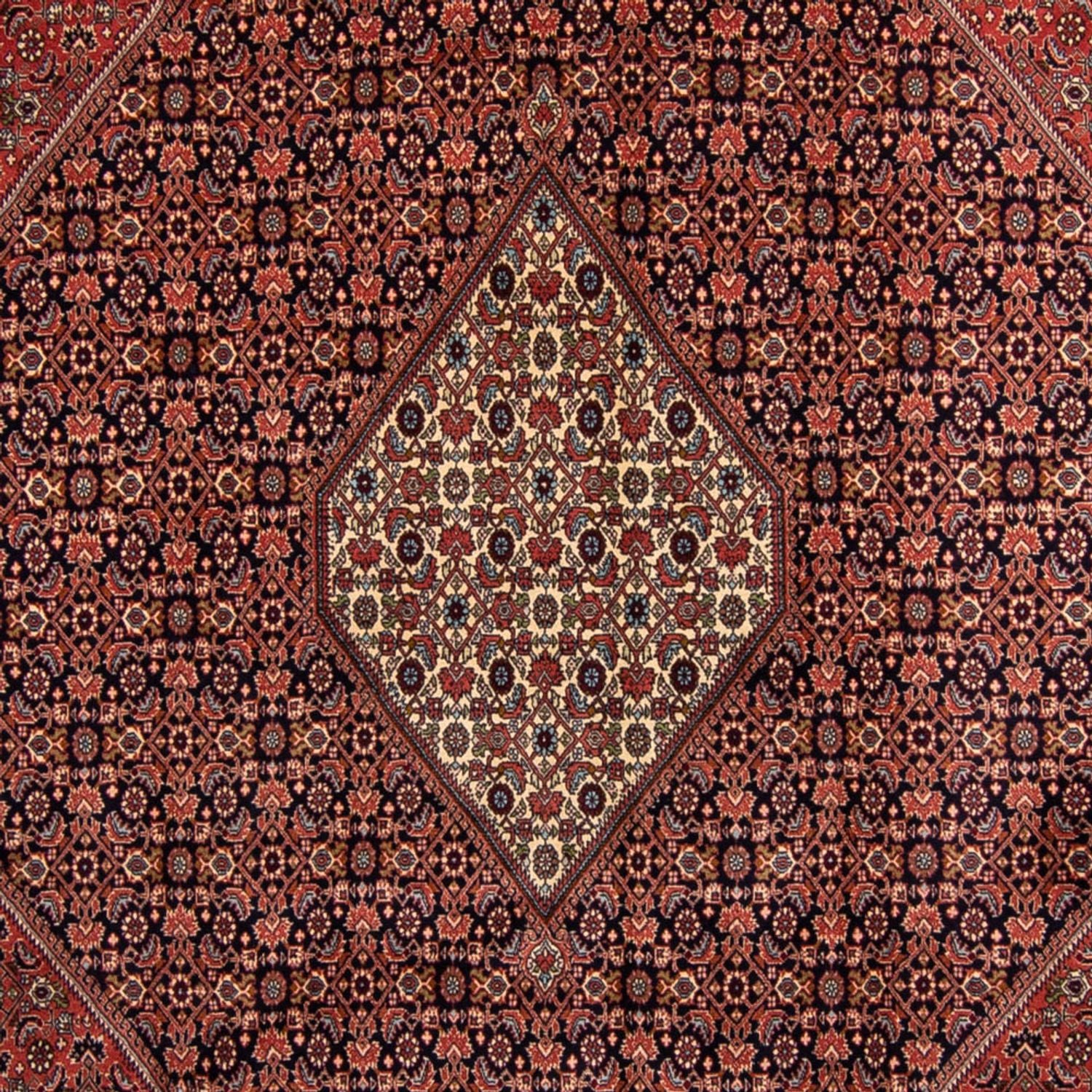 Alfombra persa - Bidjar - 350 x 249 cm - marrón