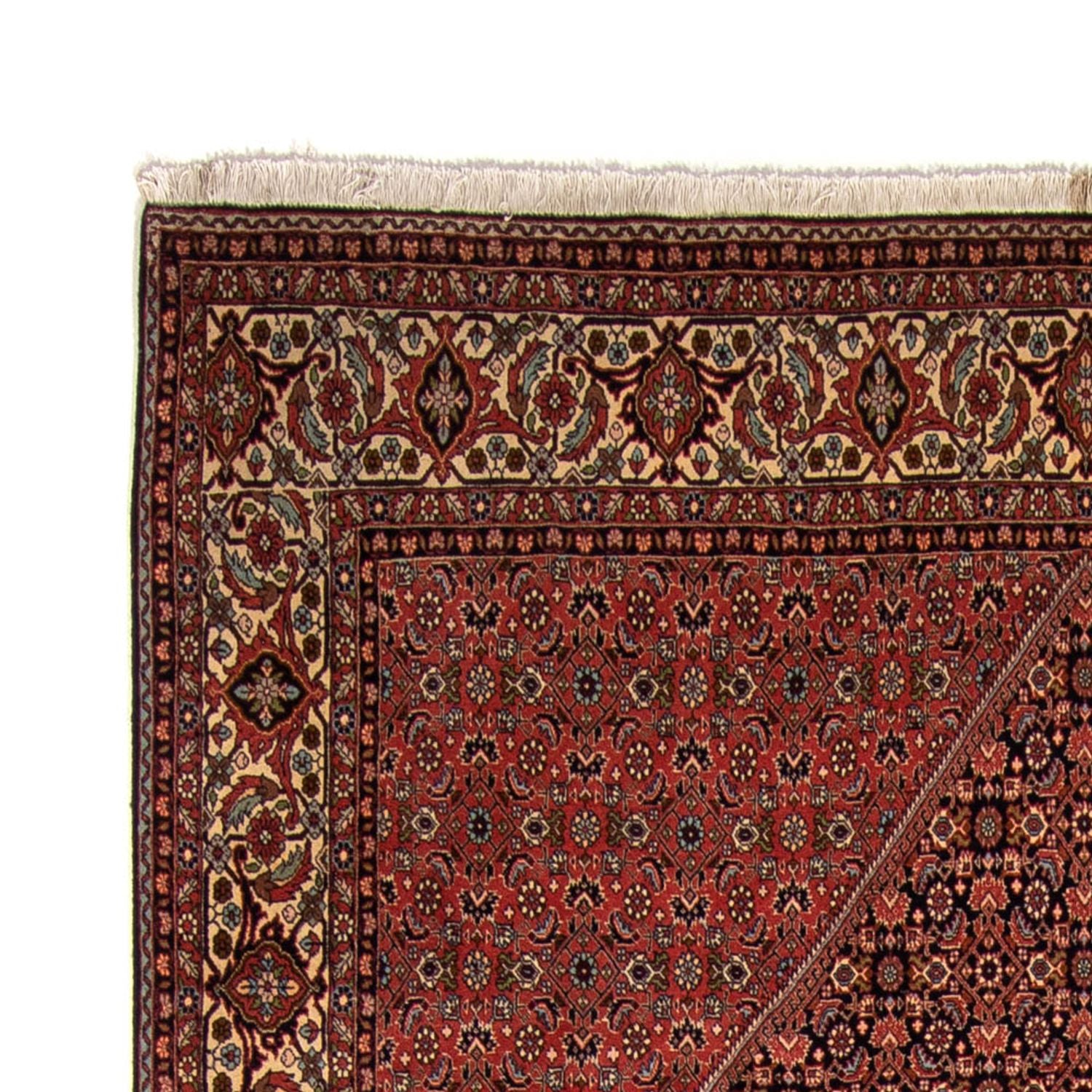 Alfombra persa - Bidjar - 350 x 249 cm - marrón