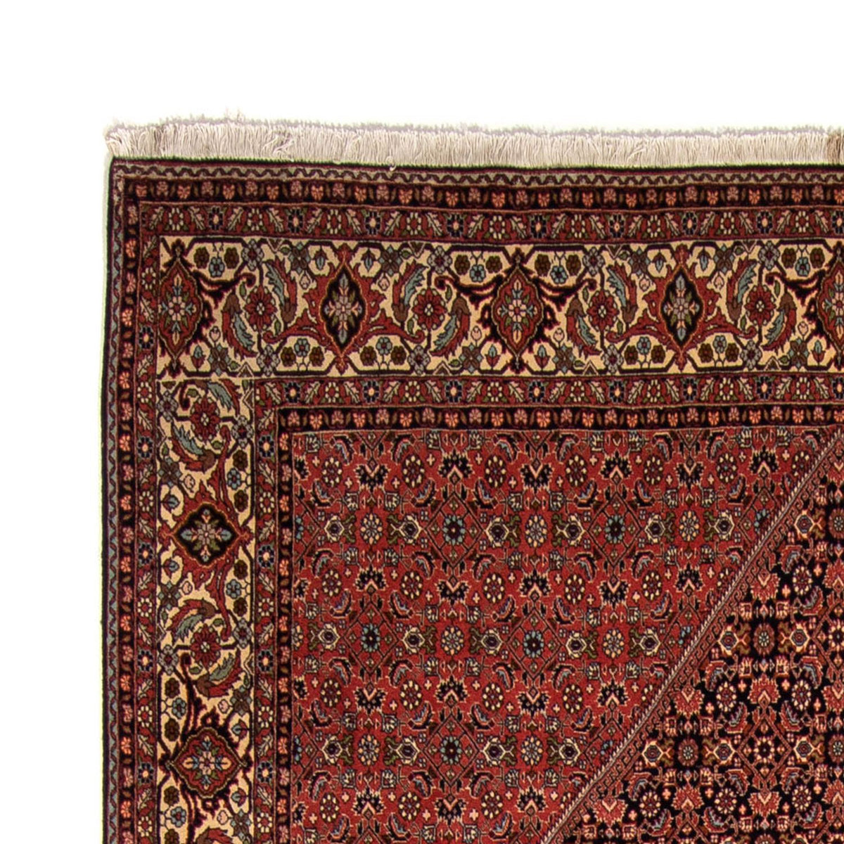 Bidjar Alfombra 249x350cm - Alfombra persa