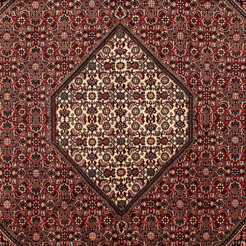 Alfombra persa - Bidjar - 288 x 198 cm - marrón