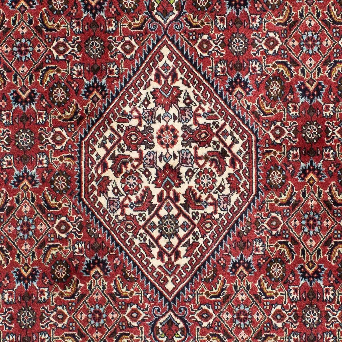 Alfombra persa - Bidjar - 210 x 141 cm - rojo