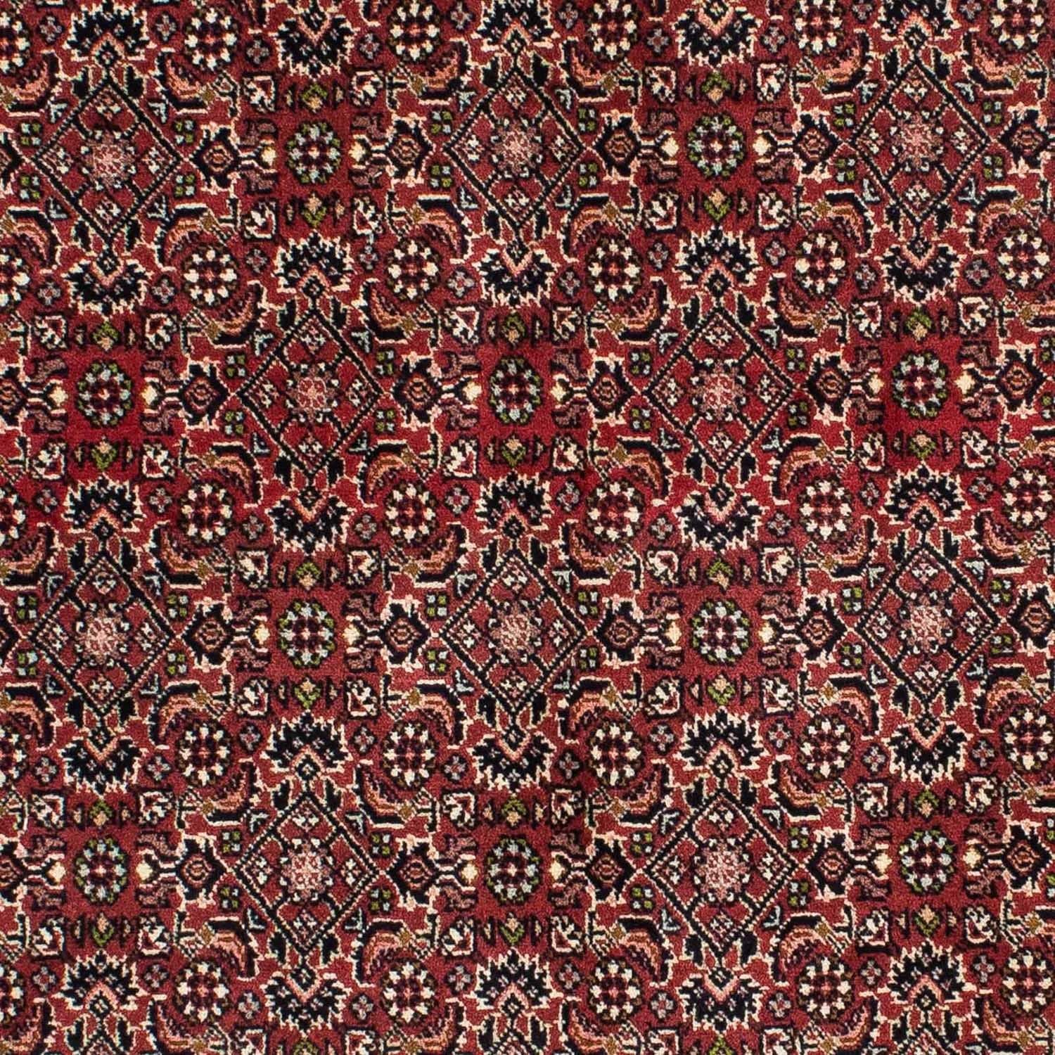 Alfombra persa - Bidjar - 208 x 139 cm - rojo