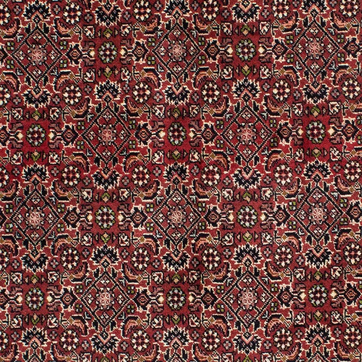 Alfombra persa - Bidjar - 208 x 139 cm - rojo