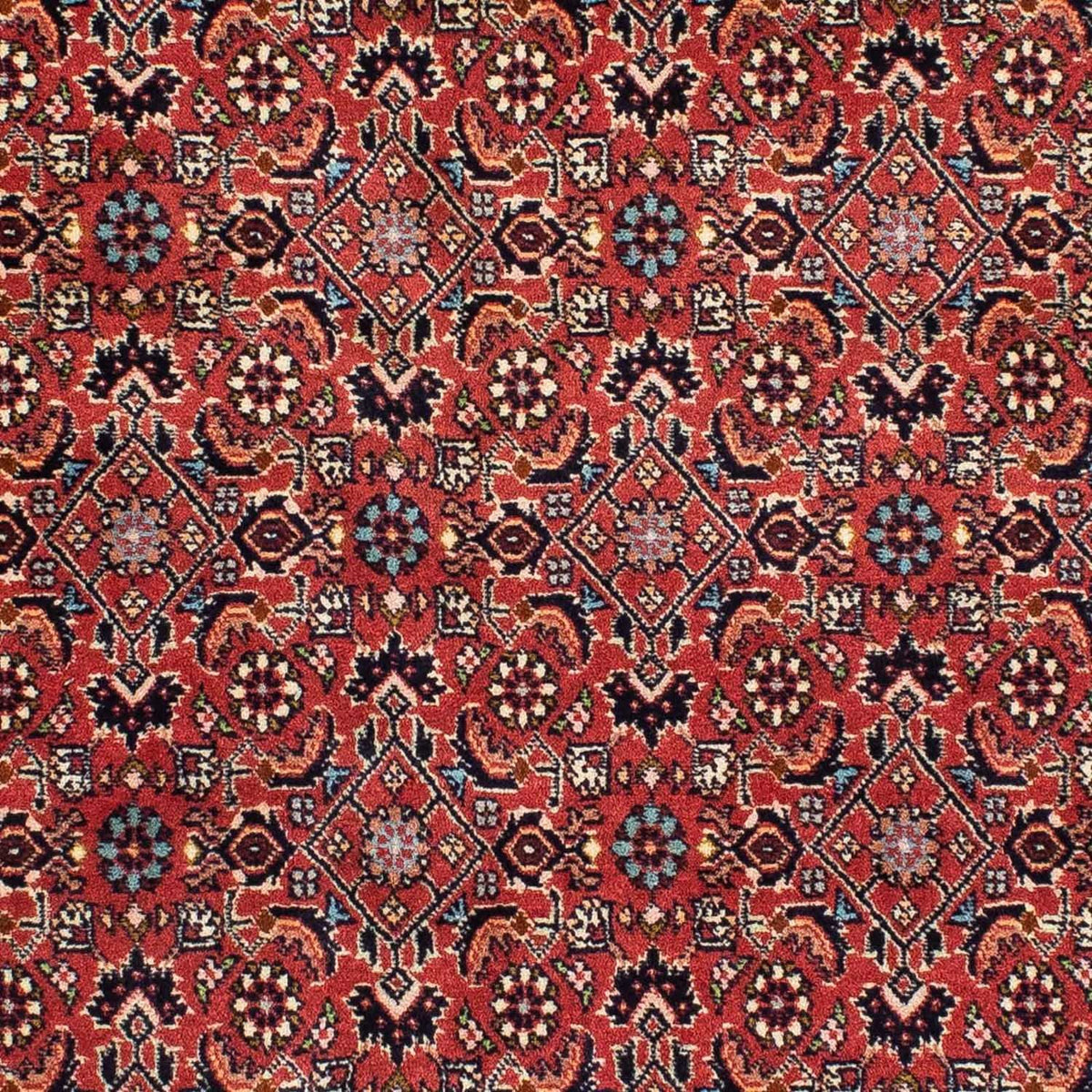 Alfombra persa - Bidjar - 199 x 139 cm - rojo