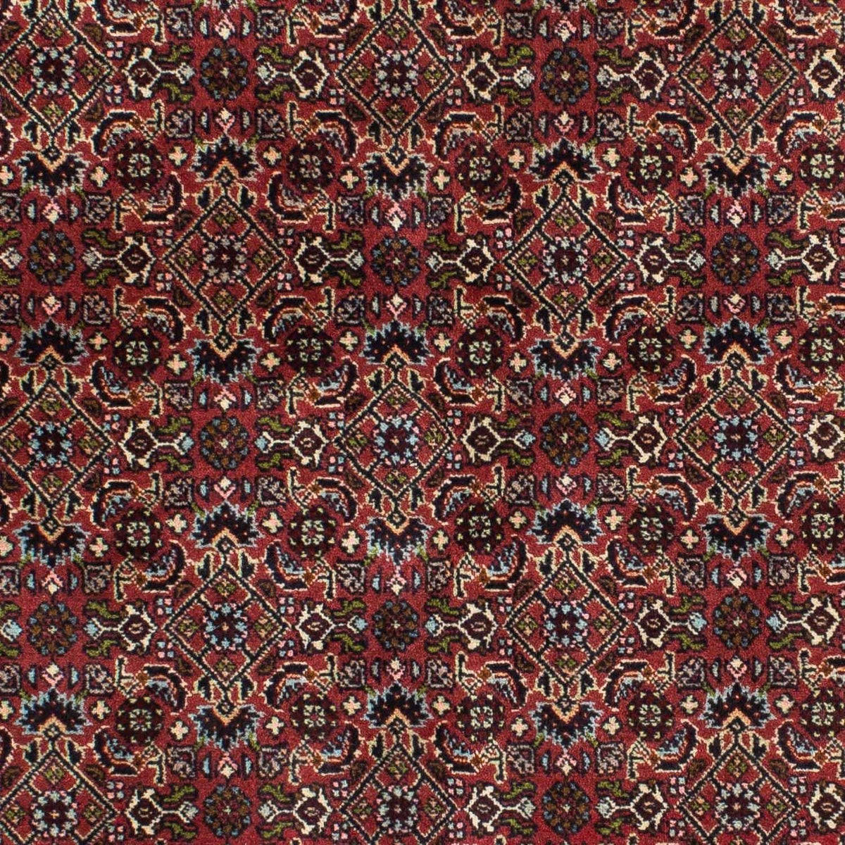 Alfombra persa - Bidjar - 205 x 141 cm - rojo