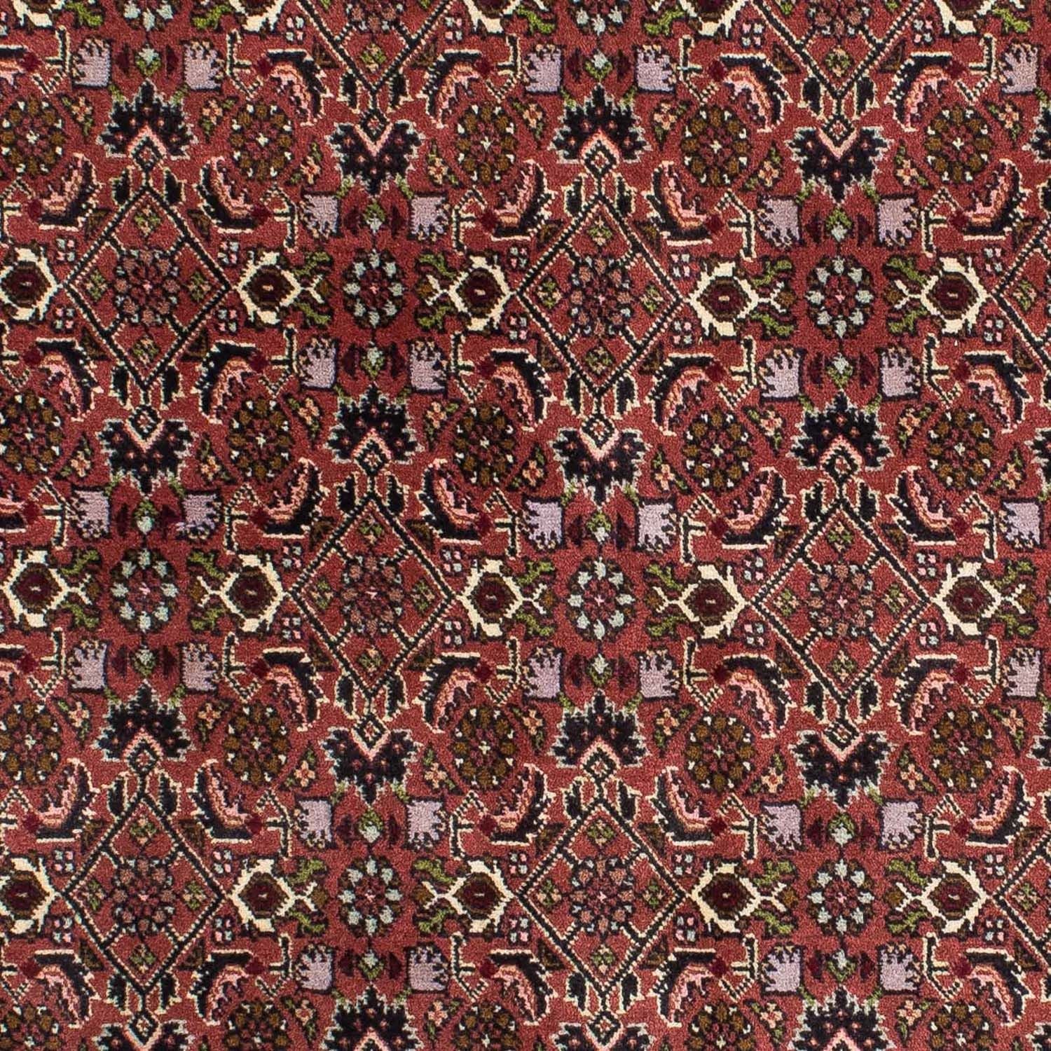Alfombra persa - Bidjar - 208 x 139 cm - rojo