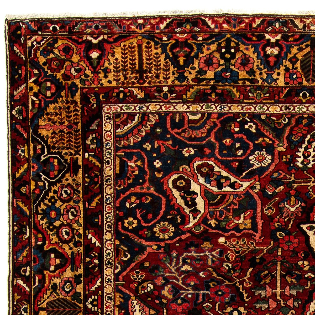Bakhtiari Alfombra 333x408cm - Alfombra persa