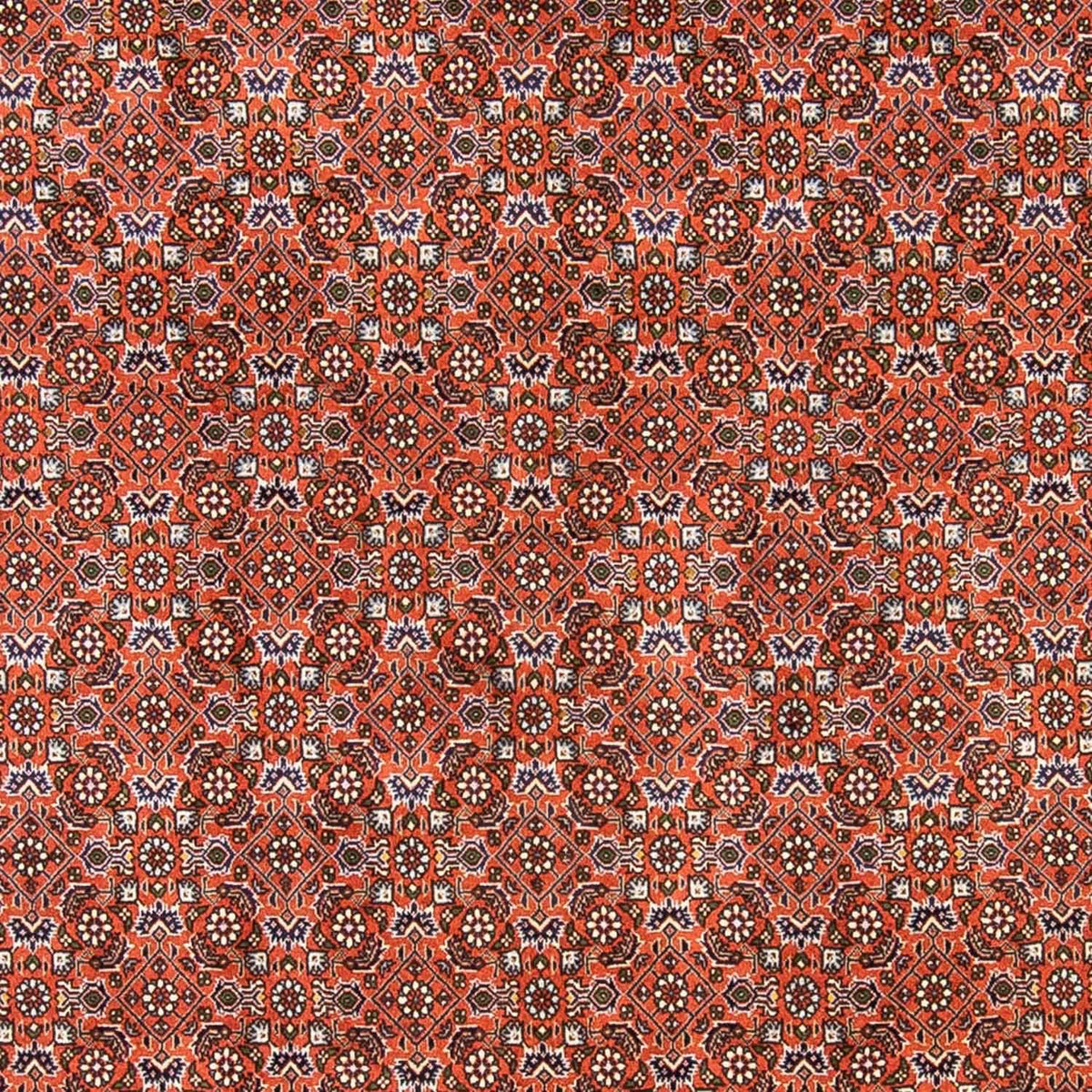 Alfombra persa - Bidjar - 237 x 168 cm - rojo claro