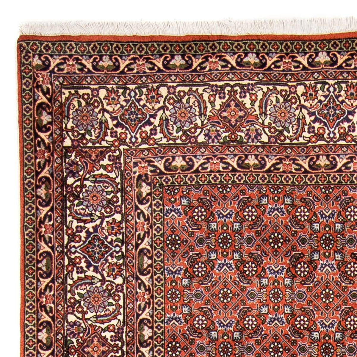 Alfombra persa - Bidjar - 237 x 168 cm - rojo claro