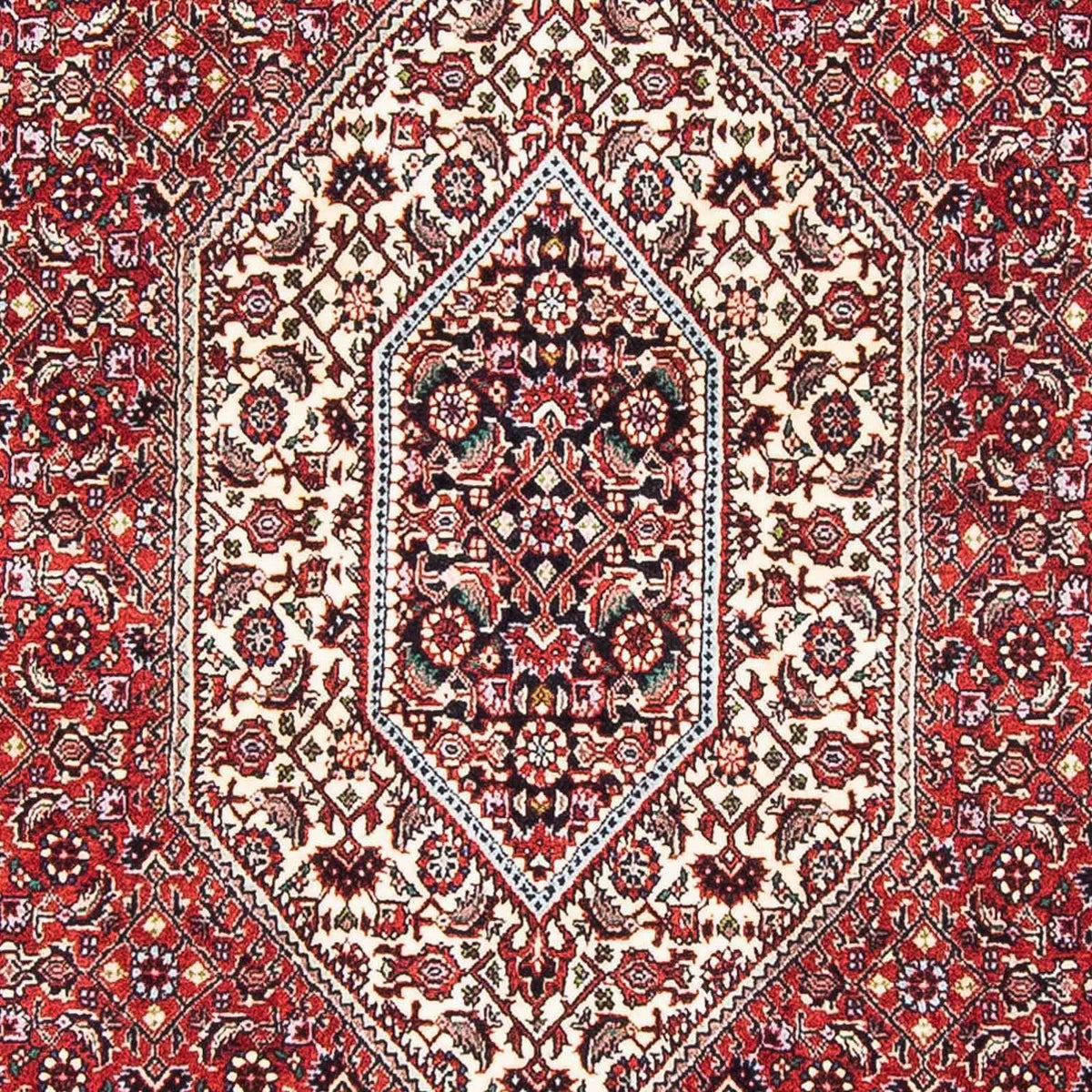 Alfombra persa - Bidjar - 178 x 108 cm - rojo