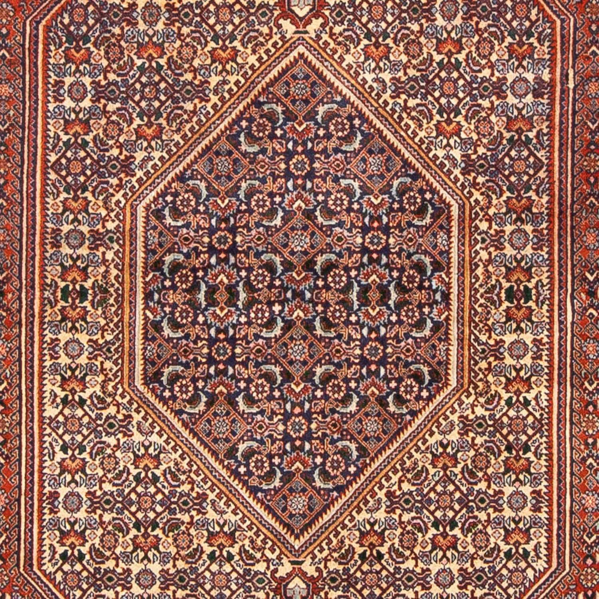 Alfombra persa - Bidjar - 240 x 138 cm - marrón