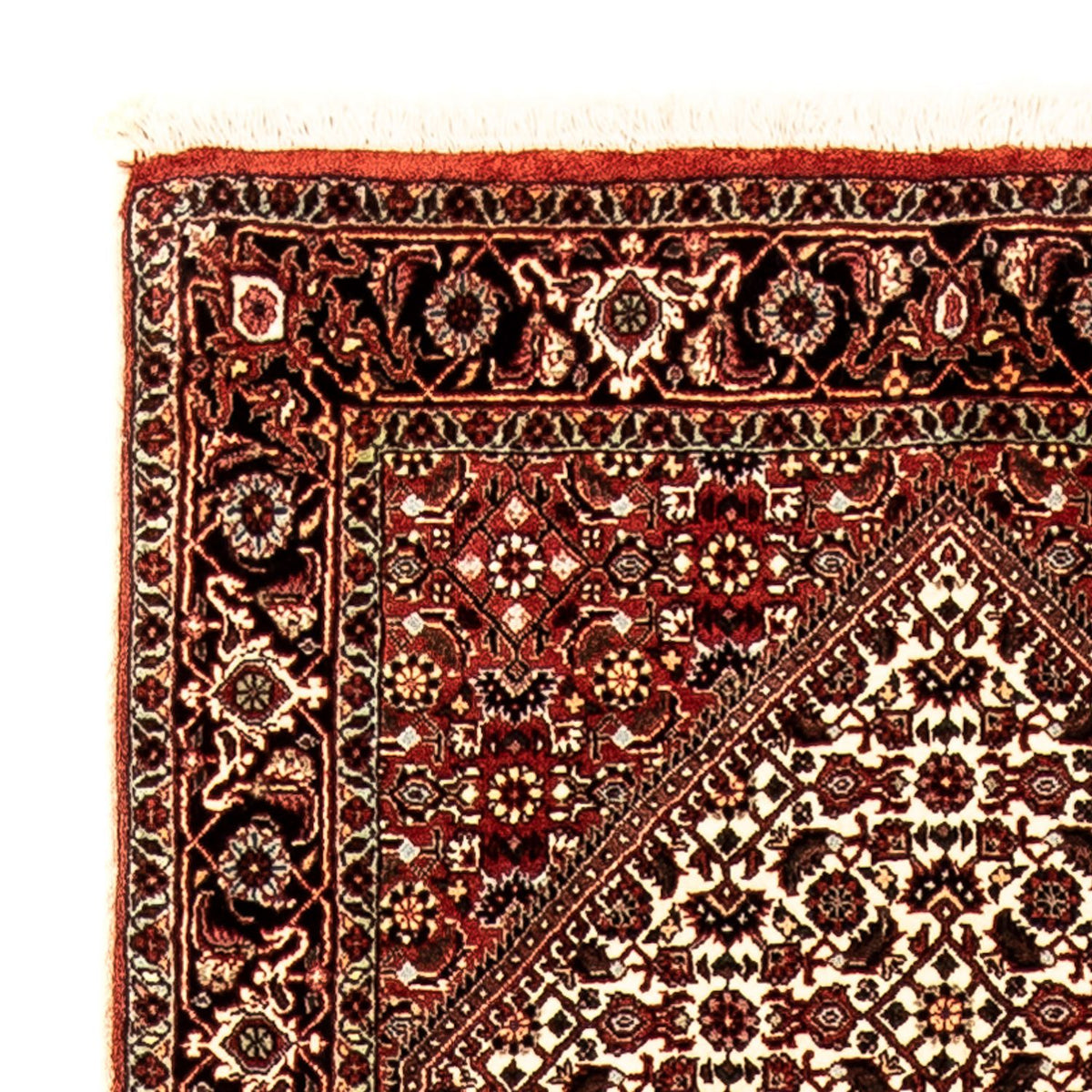 Alfombra de pasillo Alfombra persa - Bidjar - 280 x 83 cm - multicolor