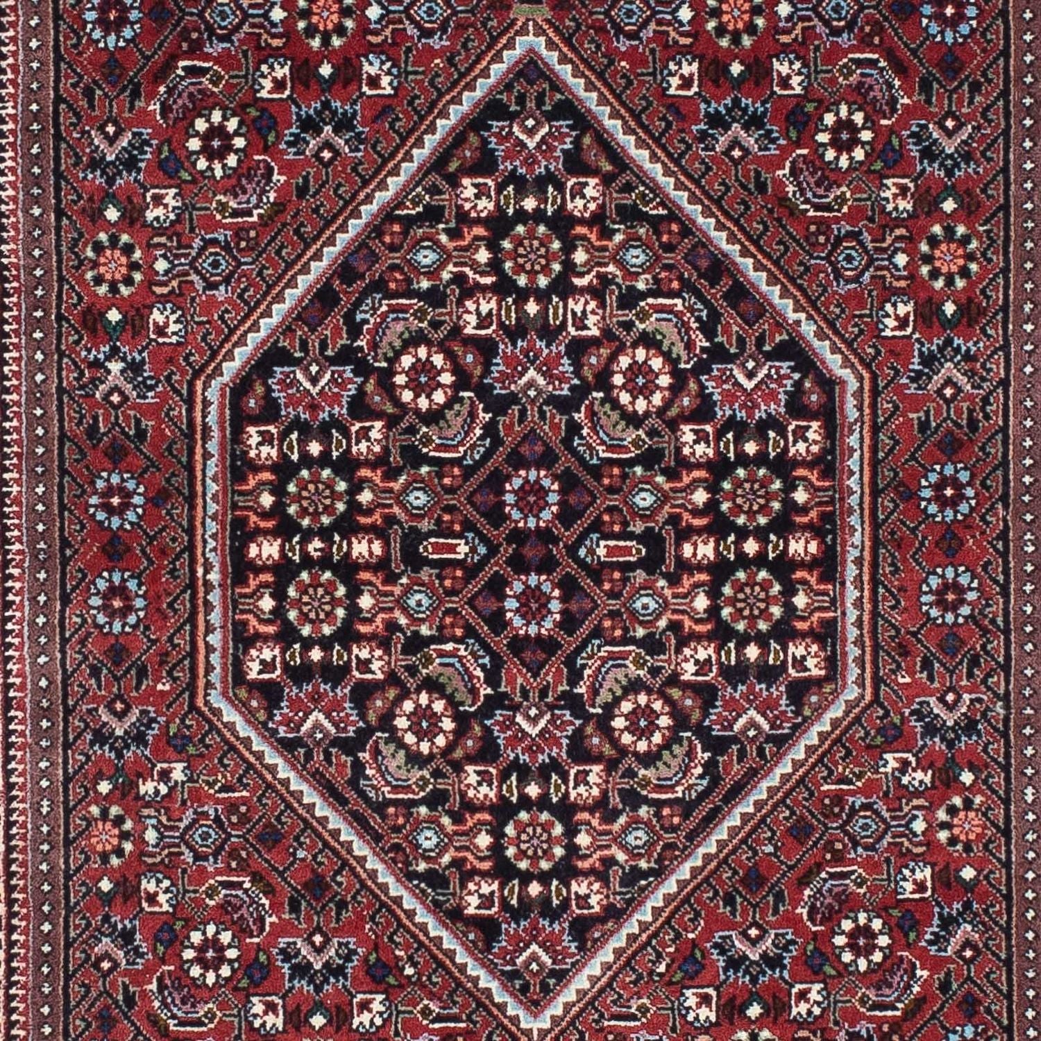 Alfombra de pasillo Alfombra persa - Bidjar - 225 x 72 cm - rojo