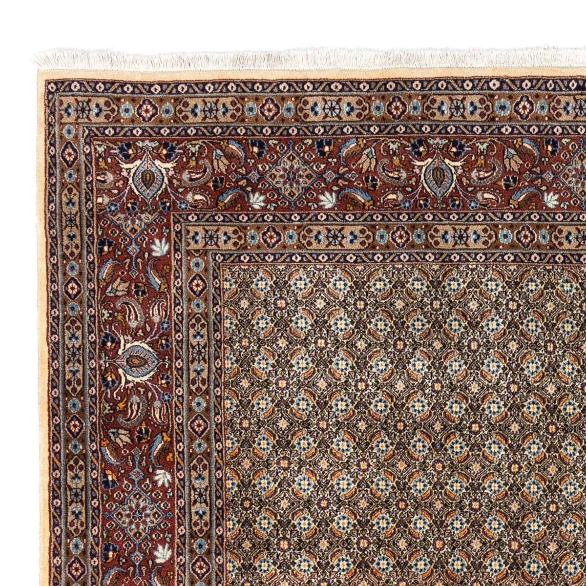 Moud Alfombra 243x288cm - Alfombra persa