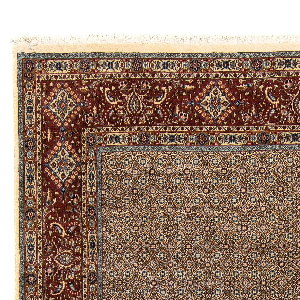 Moud Alfombra 248x298cm - Alfombra persa