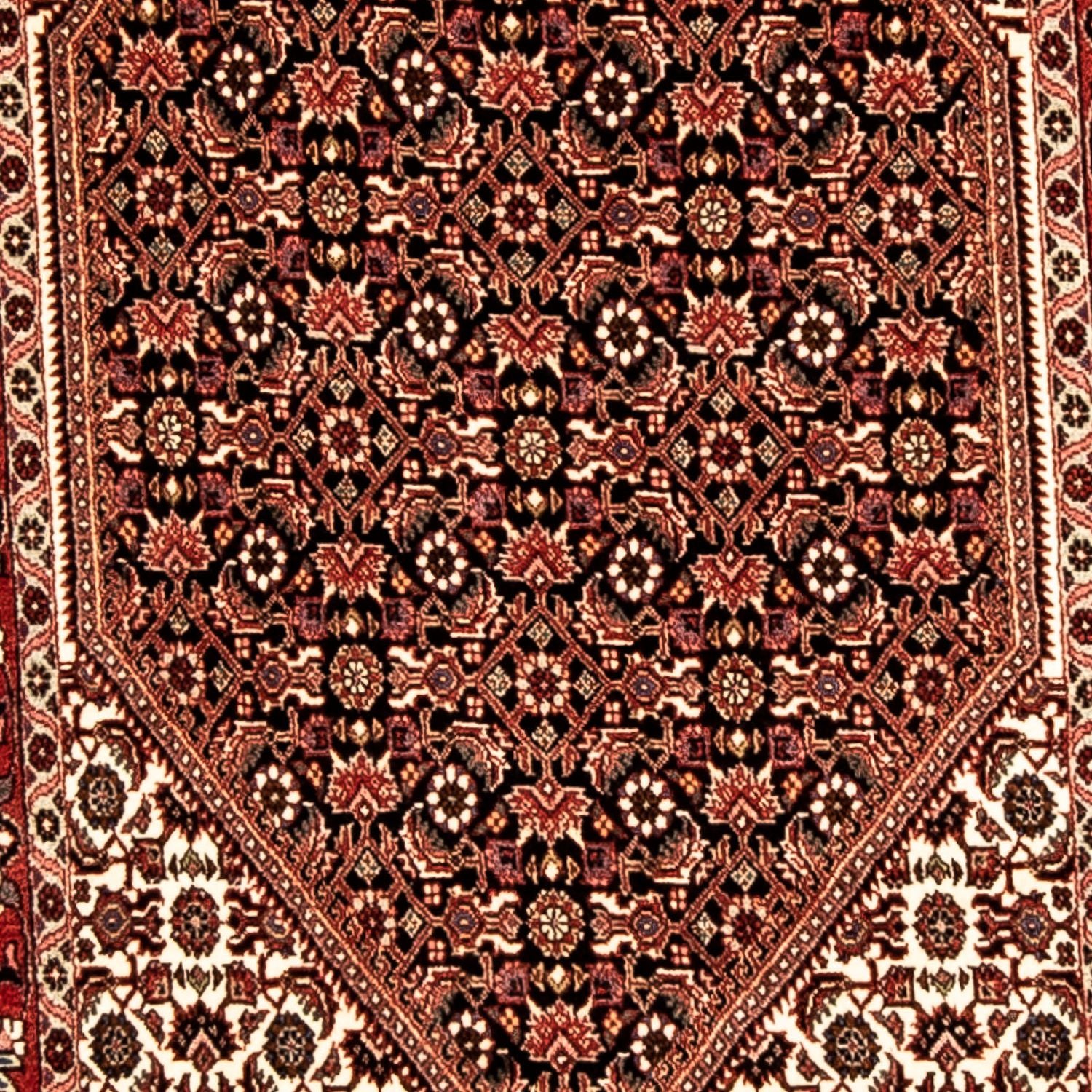 Alfombra de pasillo Alfombra persa - Bidjar - 300 x 82 cm - multicolor