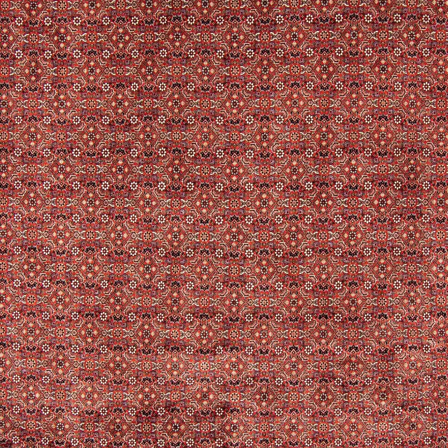 Alfombra persa - Bidjar - 403 x 298 cm - rojo oscuro