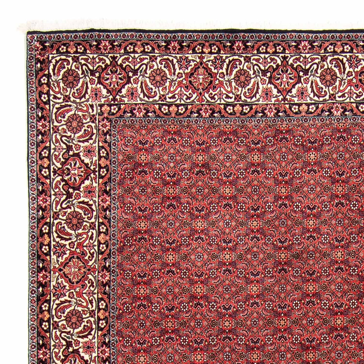 Alfombra persa - Bidjar - 296 x 250 cm - rojo oscuro