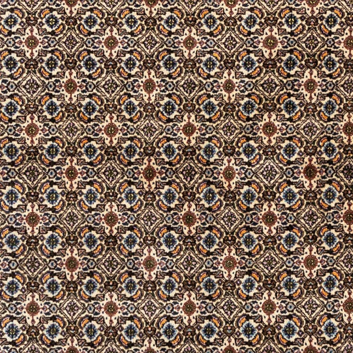 Alfombra persa - Clásica - 238 x 168 cm - beige