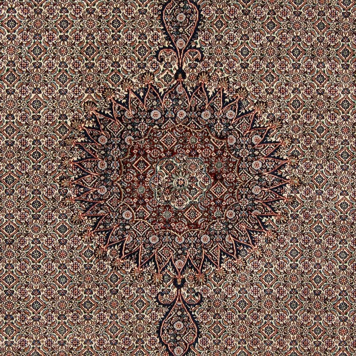 Alfombra persa - Clásica - 305 x 202 cm - beige