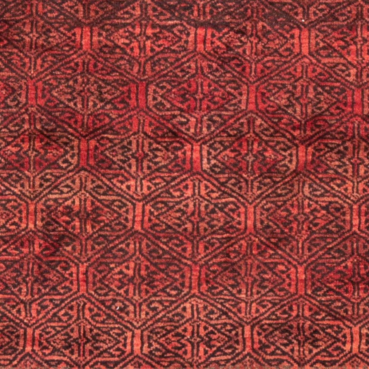 Alfombra de pasillo Alfombra persa - Nómada - 225 x 121 cm - rojo