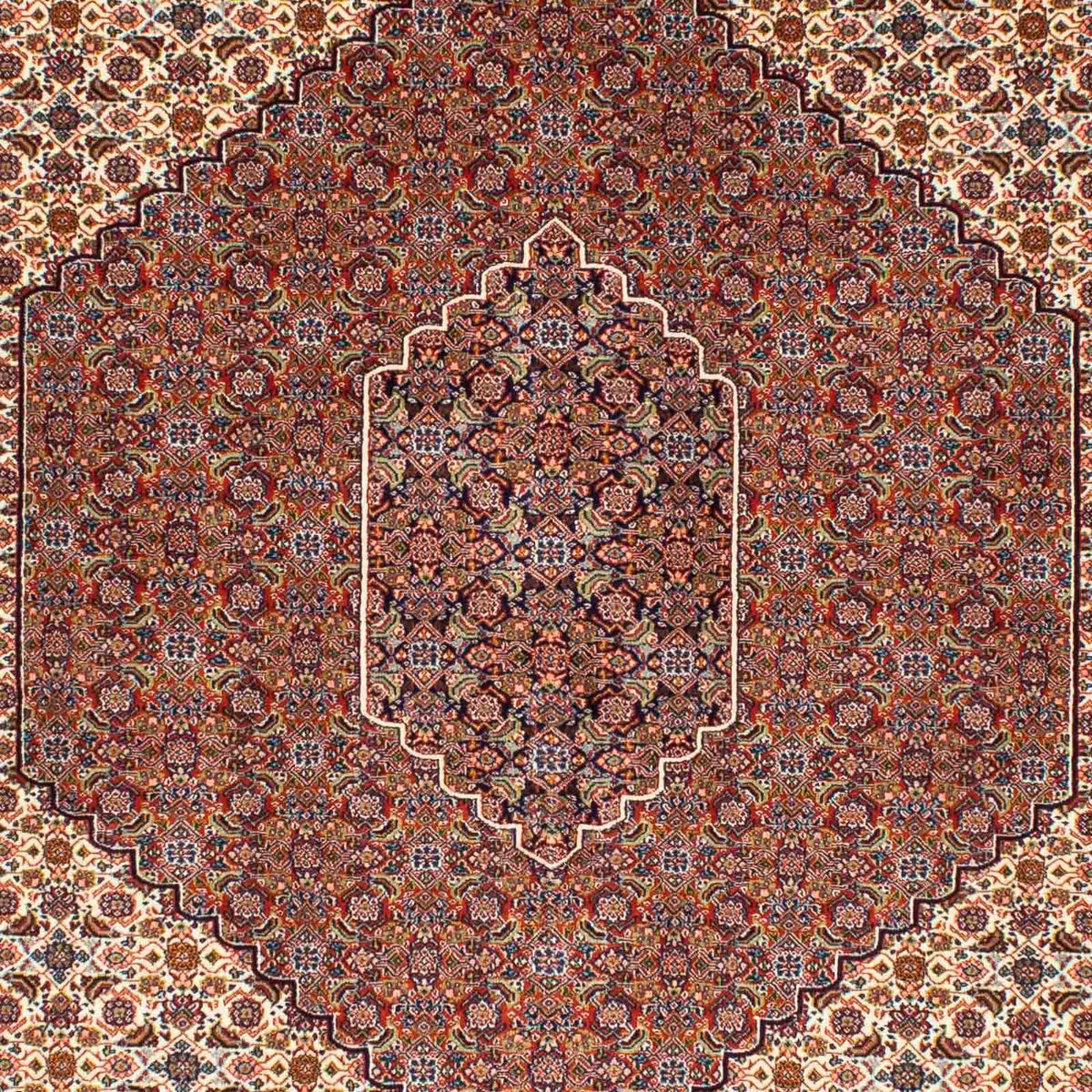 Alfombra persa - Nómada - 250 x 161 cm - marrón