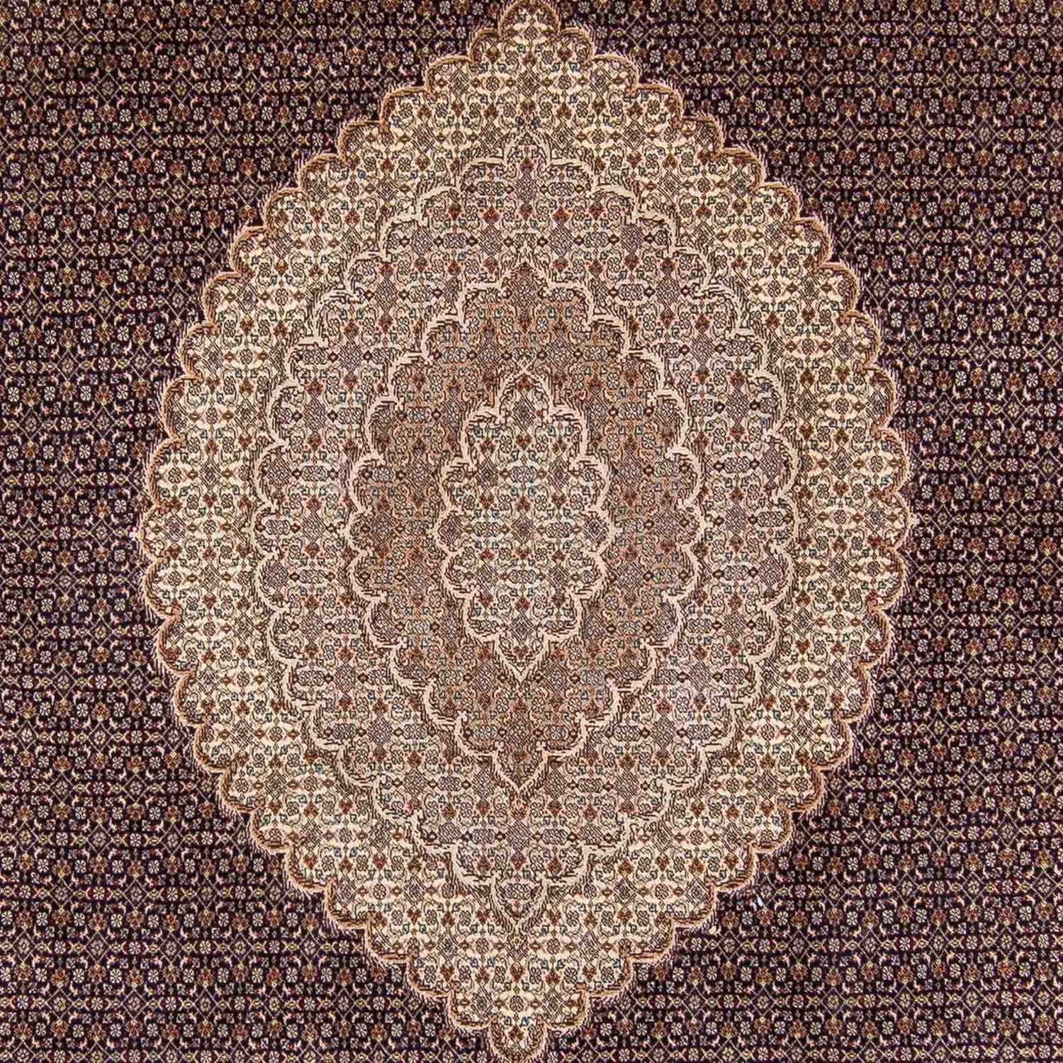 Alfombra persa - Tabriz - 354 x 250 cm - marrón claro