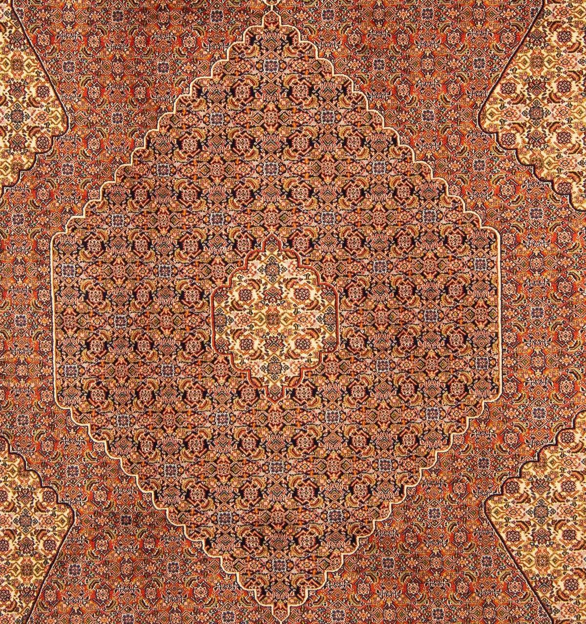Alfombra persa - Nómada - 262 x 182 cm - marrón