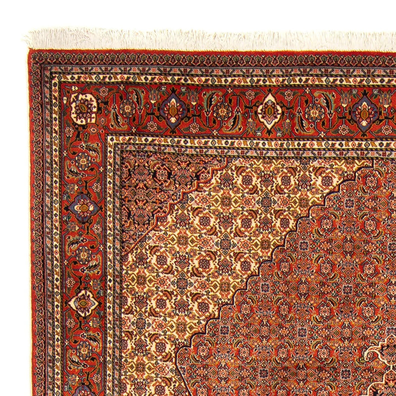 Alfombra persa - Nómada - 262 x 182 cm - marrón