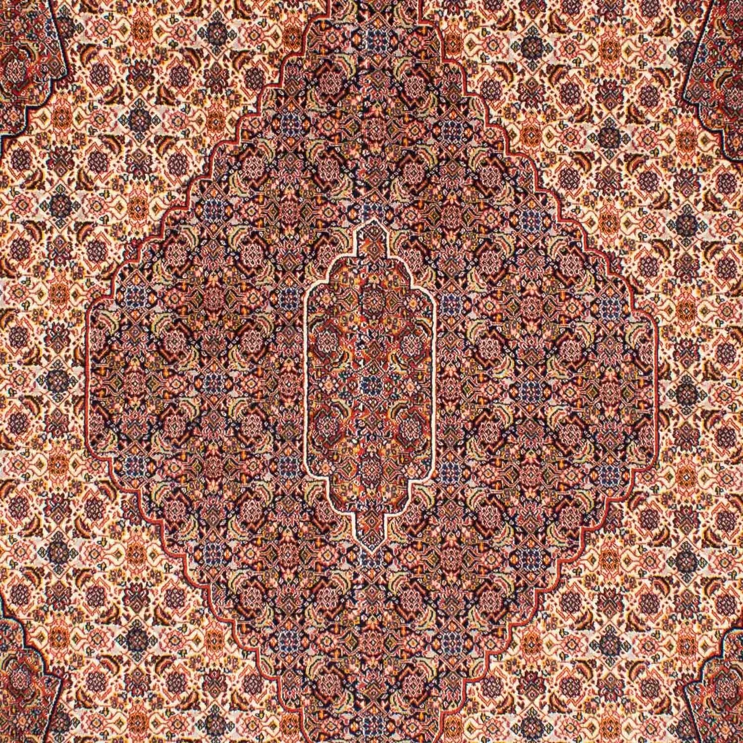 Alfombra persa - Nómada - 262 x 167 cm - marrón