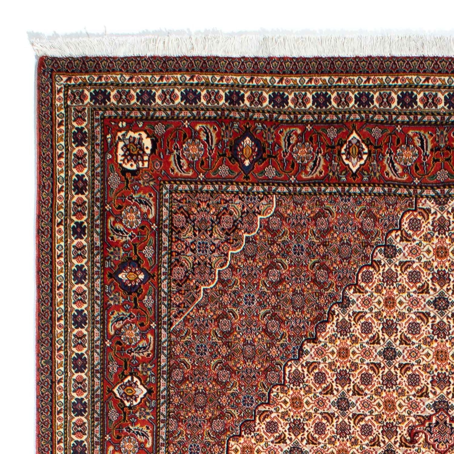 Alfombra persa - Nómada - 262 x 167 cm - marrón
