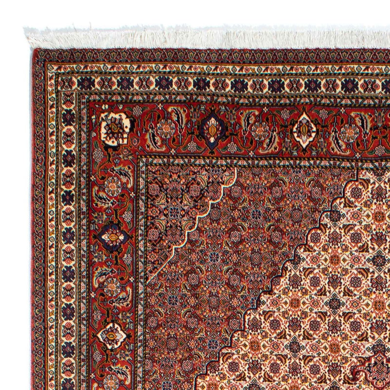 Alfombra persa - Nómada - 262 x 167 cm - marrón