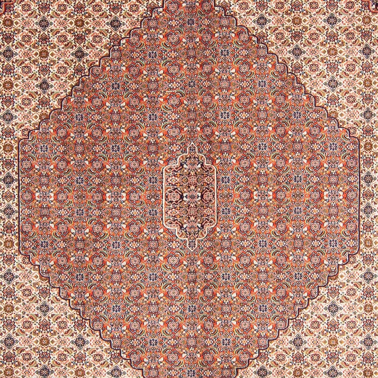 Alfombra persa - Nómada - 313 x 212 cm - marrón claro