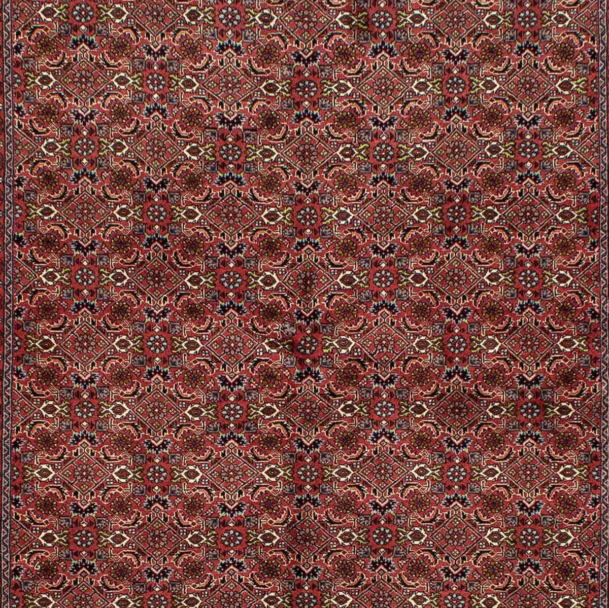 Alfombra persa - Bidjar - 246 x 170 cm - rojo oscuro