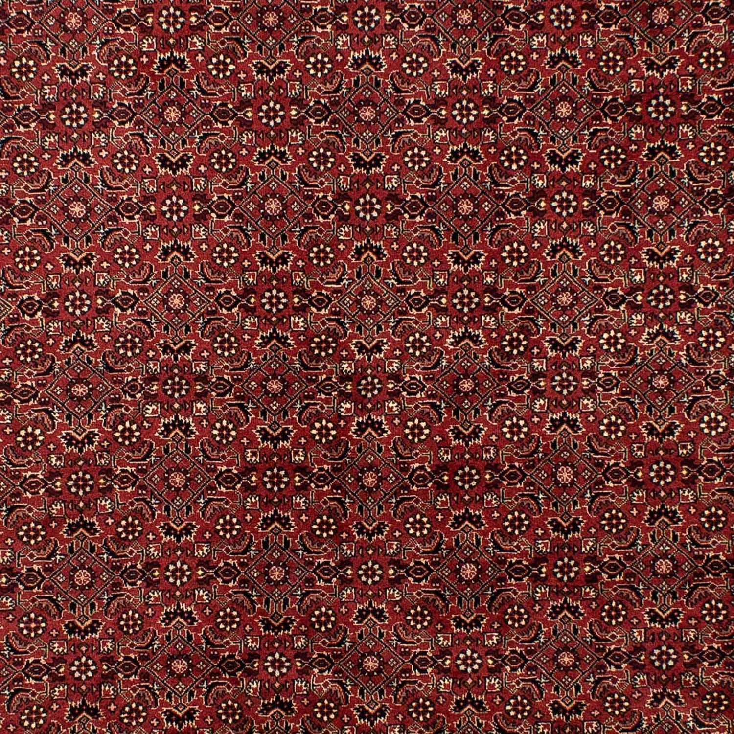 Alfombra persa - Bidjar - 297 x 197 cm - rojo oscuro