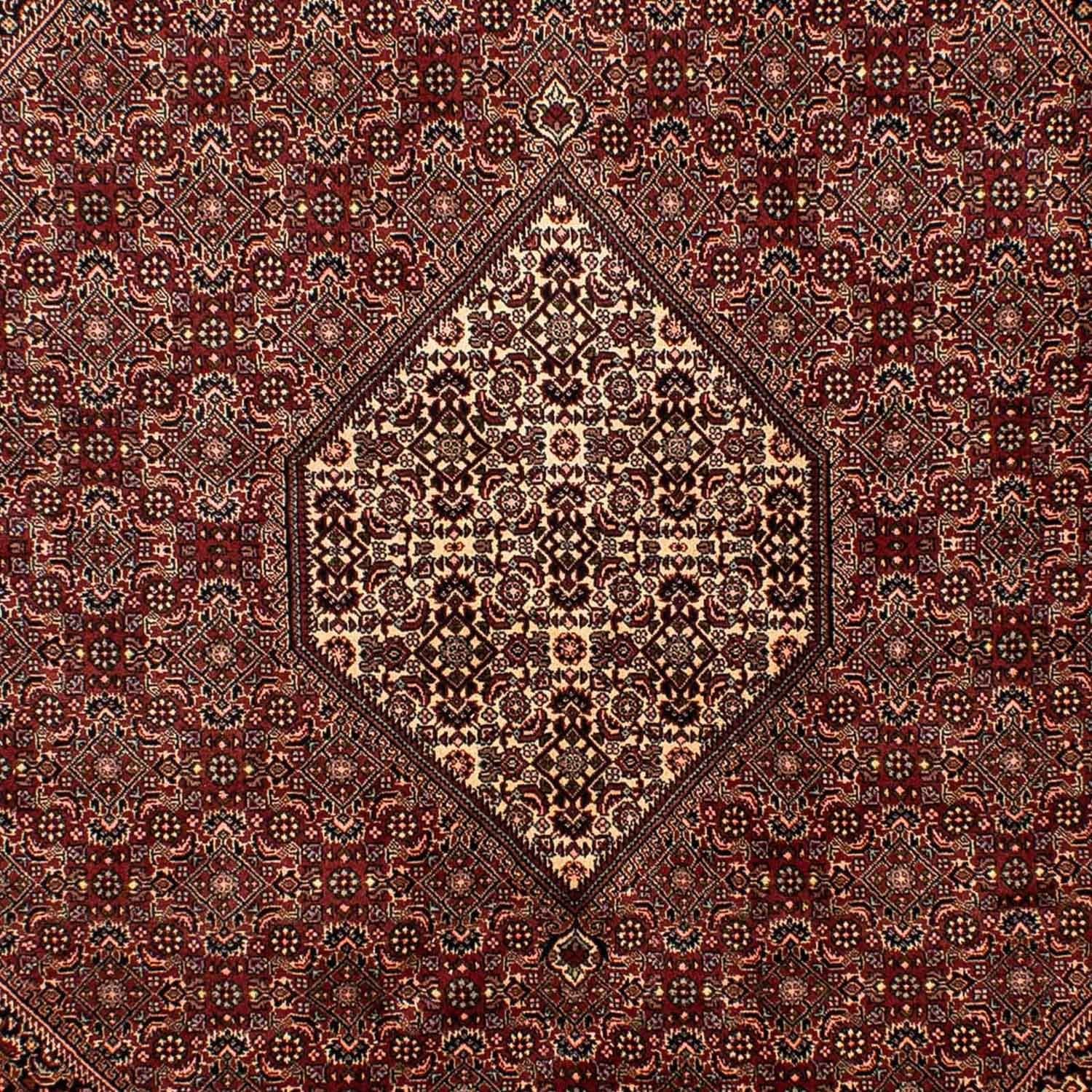 Alfombra persa - Bidjar - 284 x 199 cm - marrón