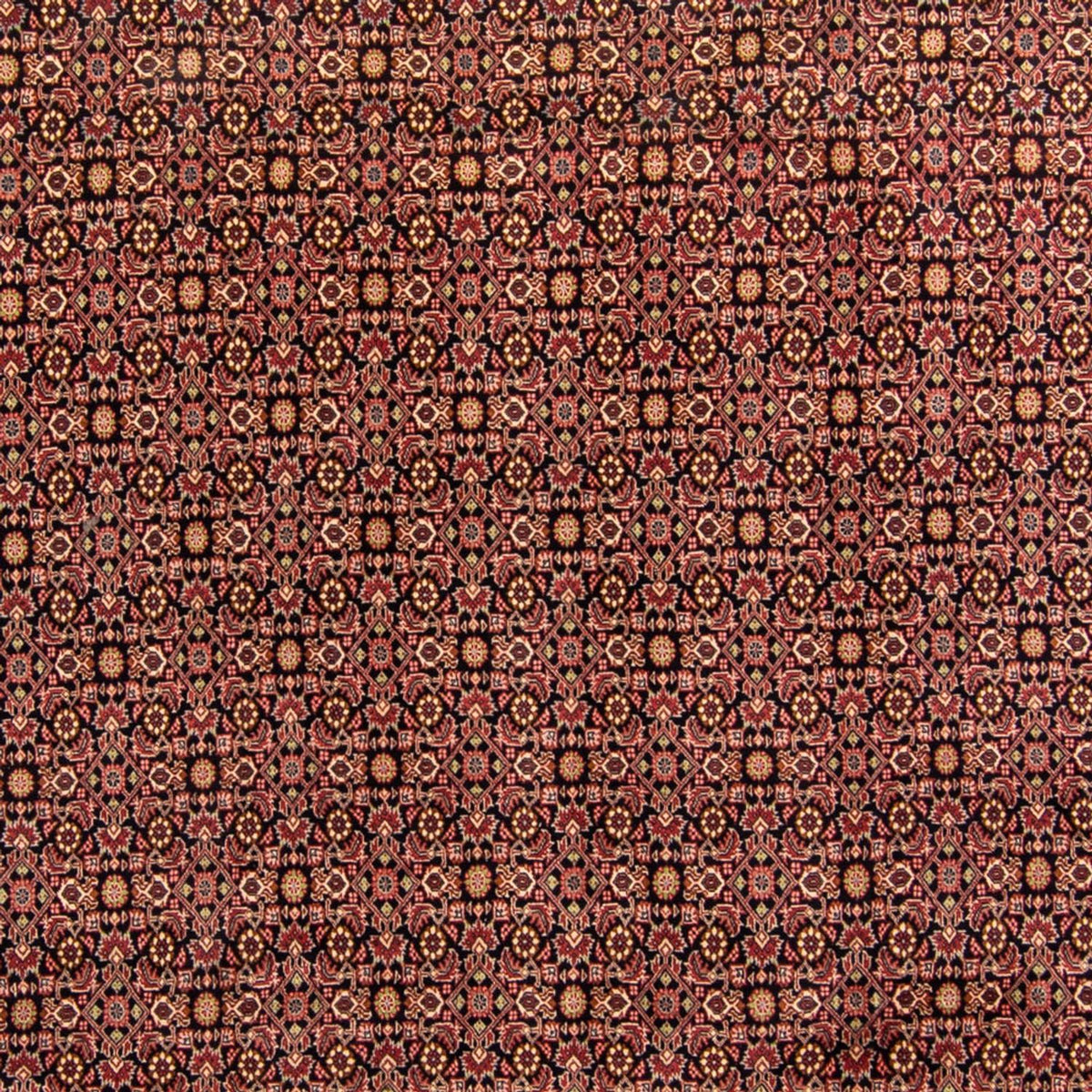 Alfombra persa - Bidjar - 343 x 254 cm - marrón