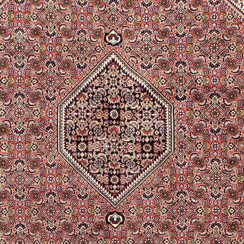 Alfombra persa - Bidjar - 250 x 168 cm - rojo claro