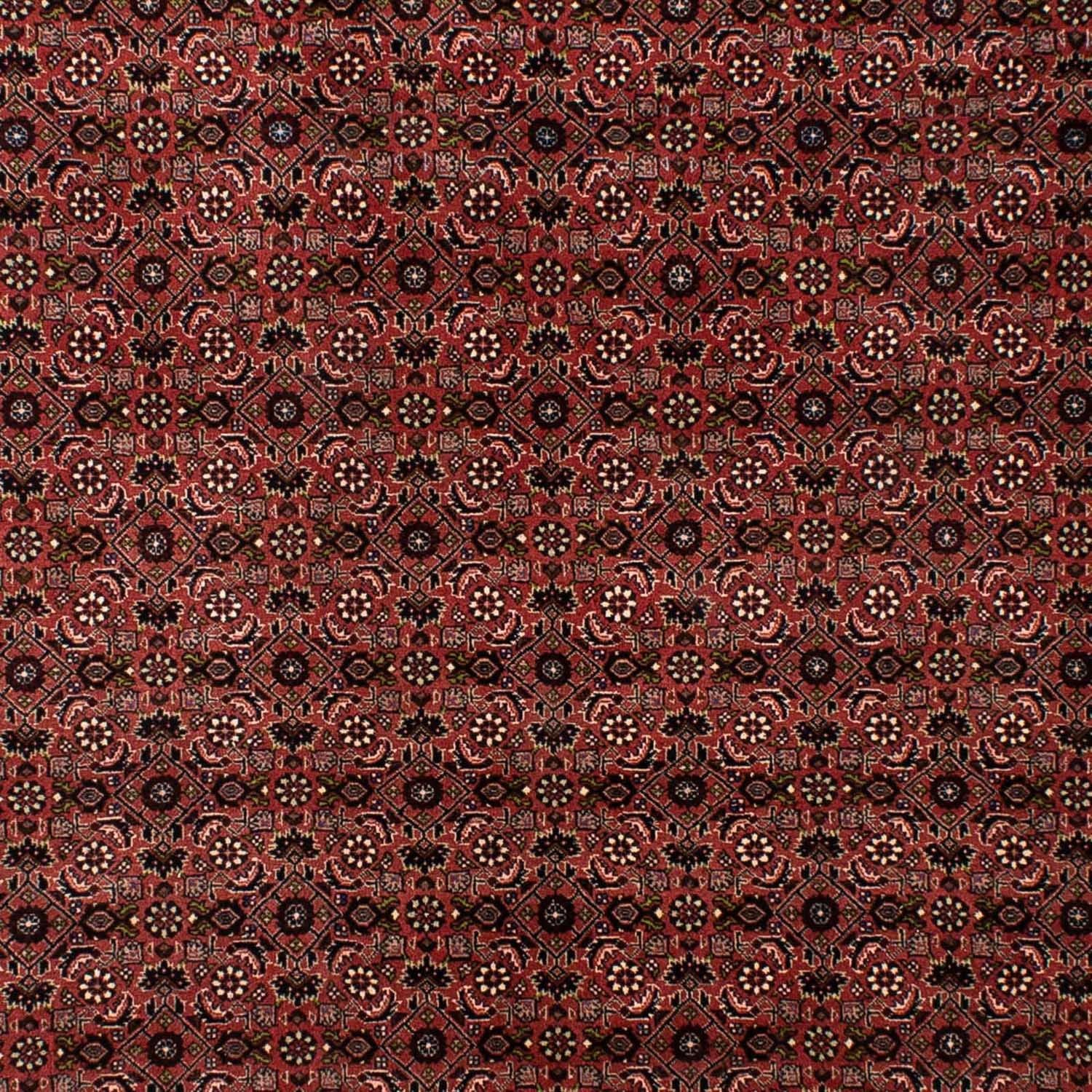 Alfombra persa - Bidjar - 295 x 196 cm - rojo oscuro