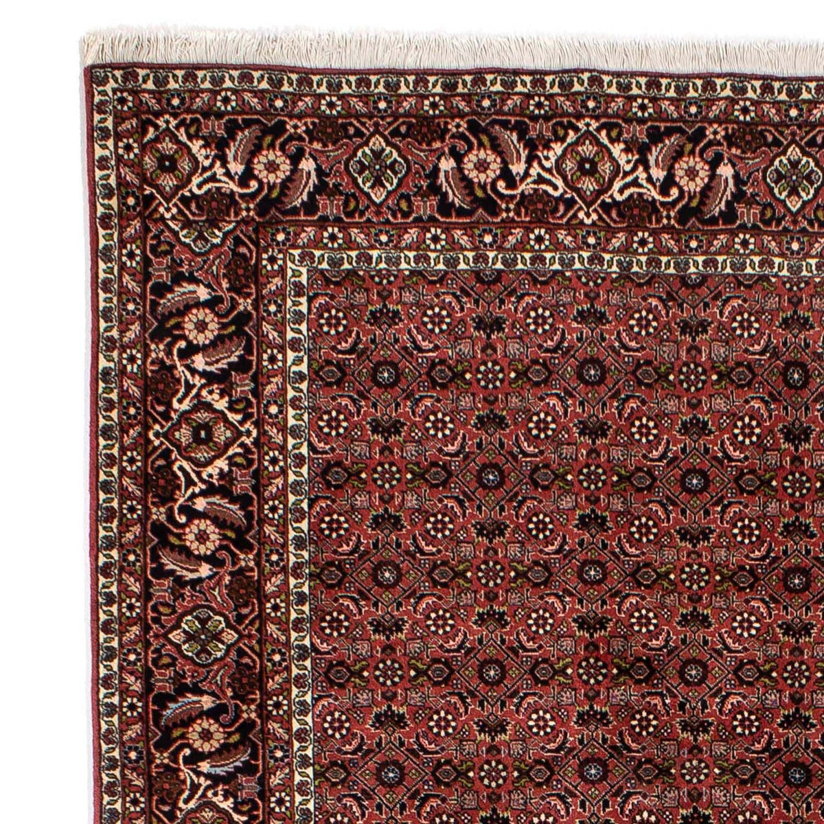 Bidjar Alfombra 196x295cm - Alfombra persa