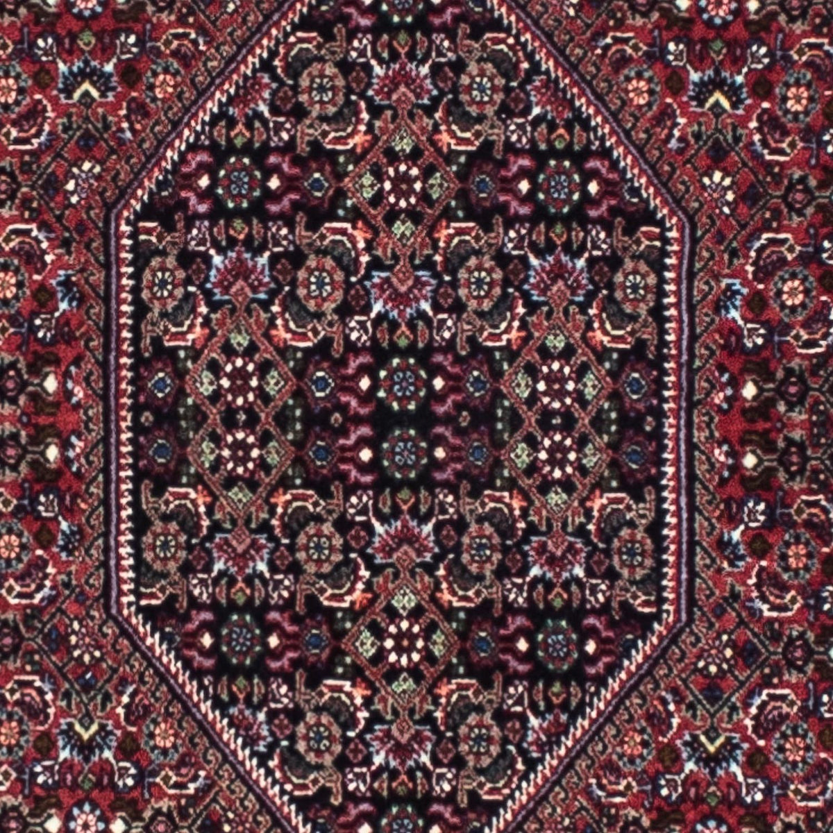 Alfombra de pasillo Alfombra persa - Bidjar - 253 x 72 cm - óxido