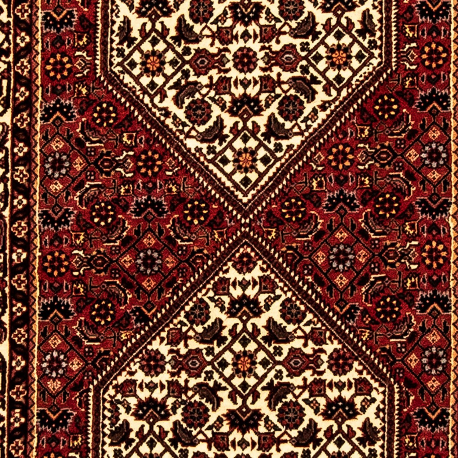 Alfombra de pasillo Alfombra persa - Bidjar - 247 x 73 cm - multicolor
