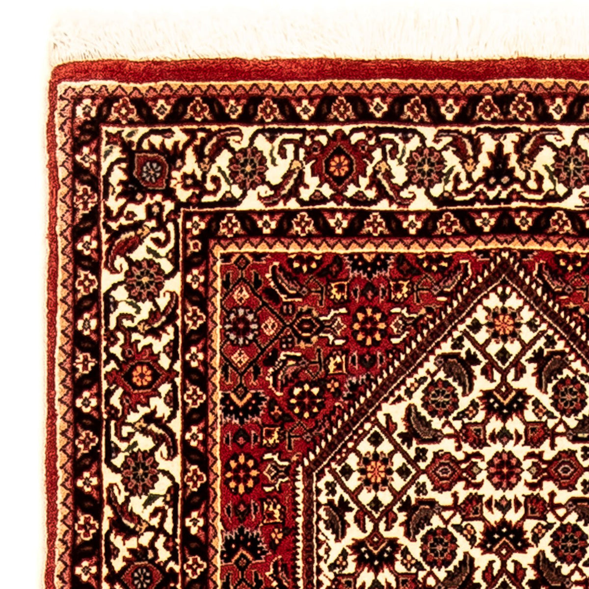 Alfombra de pasillo Alfombra persa - Bidjar - 247 x 73 cm - multicolor