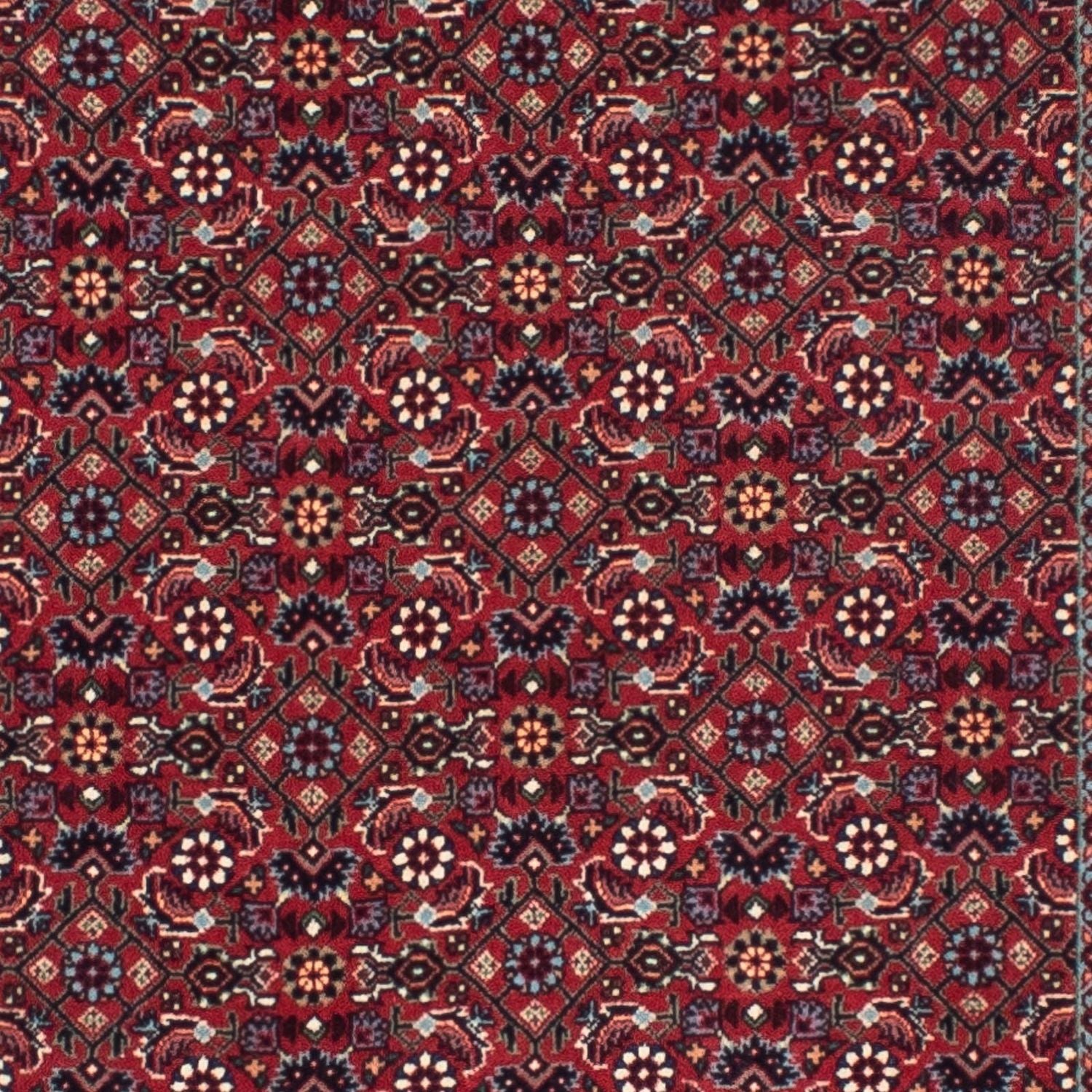 Alfombra de pasillo Alfombra persa - Bidjar - 302 x 81 cm - rojo